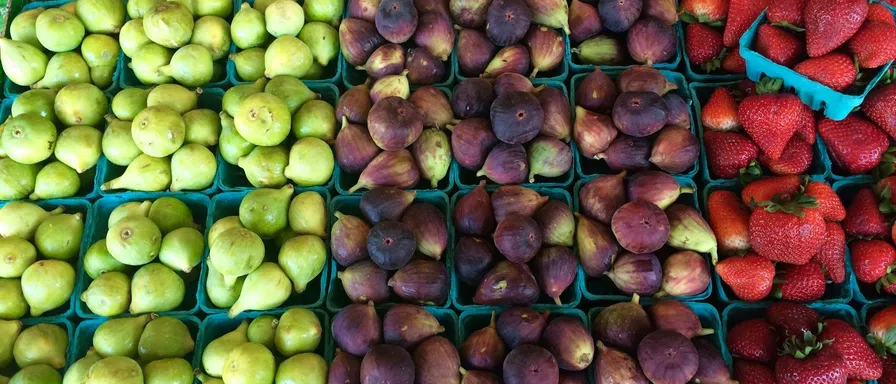 fiber fruits